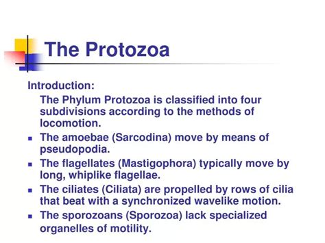 Ppt Protozoa Introduction Powerpoint Presentation Riset