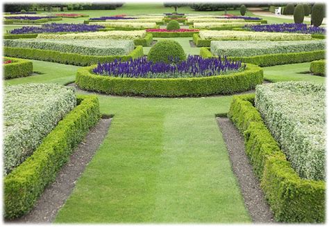 This is a learning exercise as well as a demonstration. Symmetry - Garden Tutor