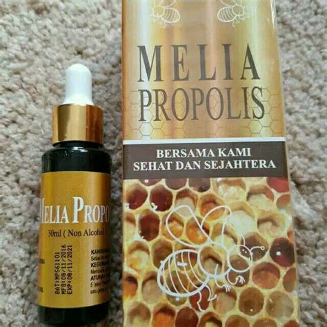Original Propolis Melia Obat Herbal