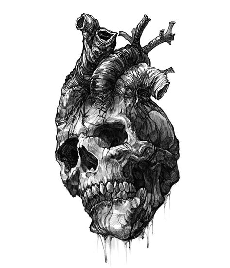 A Black And White Drawing Of A Human Skull With An Arrow On Its Head