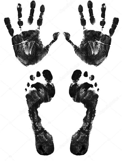 Hands And Feet Print Stock Vector Image By ©roxanabalint 4964007