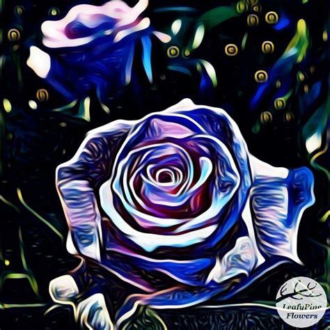 Midnight Rose 🌹🌘 Midnight Rose Rose Art