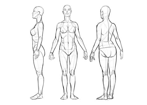 Pose Reference Turn Arounds For Cephiasor Anyone Who Needs Them