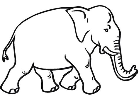 Animals are perfect for art and coloring. African Animal Template - Animal Templates | Free ...