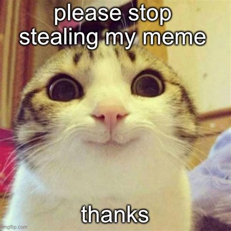 Cat Stop Stealing Meme Imgflip
