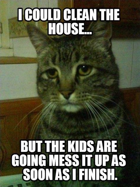 These mischievous cat memes can't fail to make you burst out out of all animals on the planet, there is no other creature linked to the internet memes world more than felines. I could clean the house, but the kids are going to mess it up as soon as I finish. | Funny cat ...