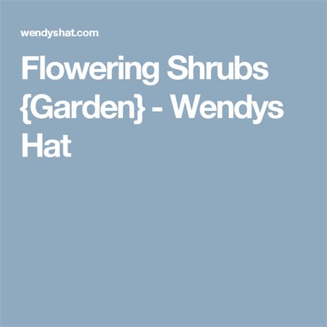 Flowering Shrubs Garden Wendys Hat Flowering Shrubs Shrubs Garden