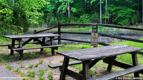 Prince William Forest Park Picnic Areas