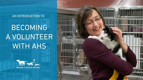 An Introduction To Volunteering At Animal Humane Society Youtube