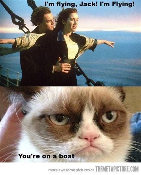 Mad Cat Memes Image Memes At
