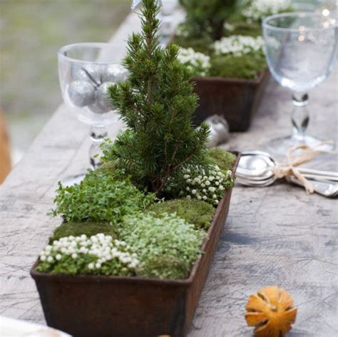 Make Your Own Festive Displays The Natural Way Winter Garden Garden