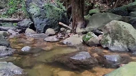 Air Terjun Gunung Rian Tanah Tidung Kalimantan Utara Video Dailymotion