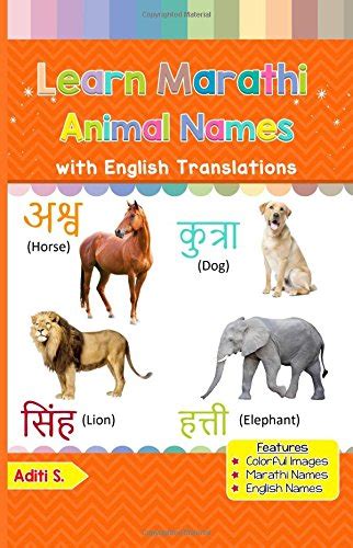Learn Marathi Animal Names Colorful Pictures And English Translations