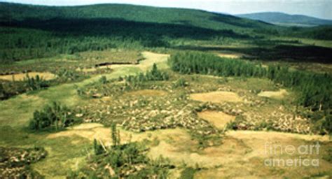 Tunguska Event Site Photograph By Science Source Pixels