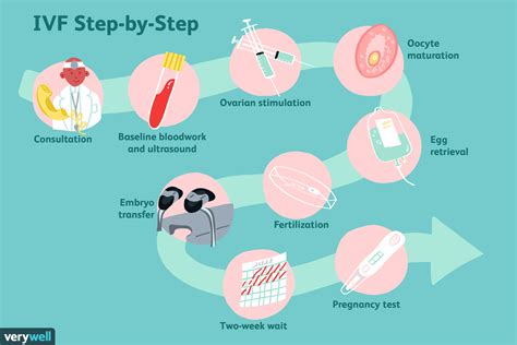 IVF Full Form In Vitro Fertilization PriceProx