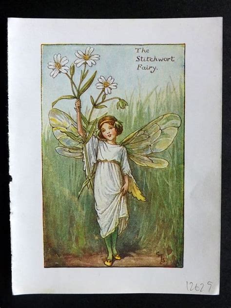 Cicely Mary Barker 1940 S Flower Fairy Print Stitchwort Fairy