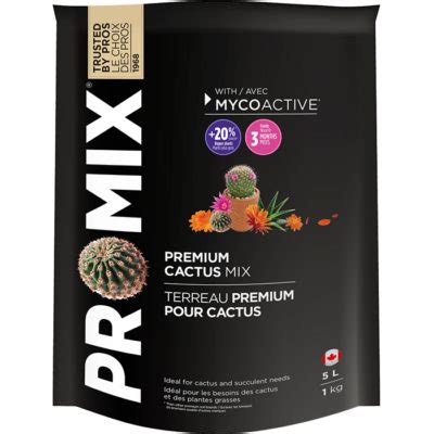 Prickly pear cacti are found throughout the americas, especially in the planes and deserts of the u.s. 3 Cactus Plants That Will Survive The Winter | Premier ...