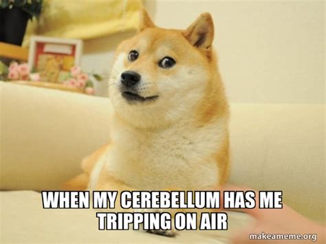 When My Cerebellum Has Me Tripping On Air Doge Make A Meme