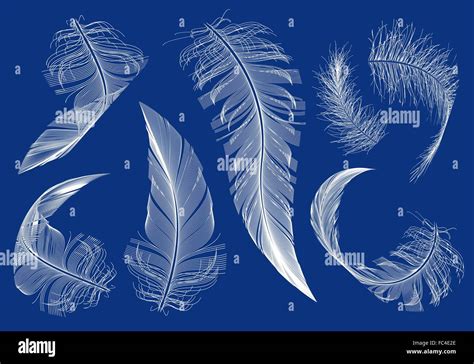Curved Flying Feathers Set Of Vector Design Elements Stock Vector