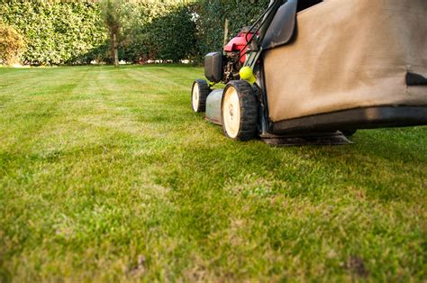 Consolidated national insurers, inc provides insurance solutions for professional lawn care service companies in pennsylvania. The Definitive Guide to Purchasing Lawn Care Insurance in 2017