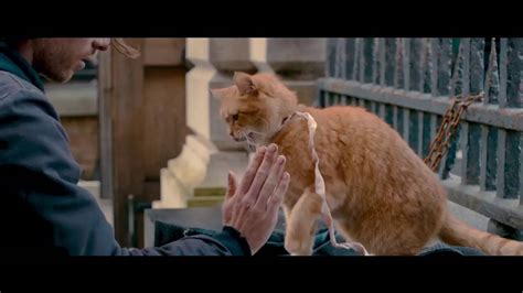 A Street Cat Named Bob Official Trailer Youtube