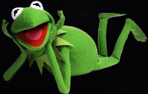 Kermit The Frog Archives Blue Roof Living