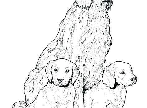 Labrador retriever coloring page from dogs category. Labrador Puppy Coloring Pages at GetColorings.com | Free ...