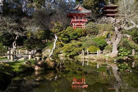 The Complicated Origins Of Sfs Beloved Japanese Tea Garden Kqed