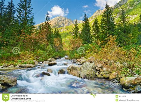 Mountain Brook Landscape Carpathian Mountains Trees Stream Stock Photo
