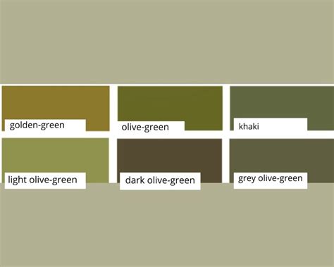 What Colors Go With Olive Green In Wardrobe How To Mix And Match
