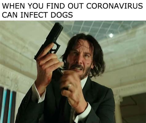 Don't install unknown programs on your phone, keep close track of the apps you have installed, and use multiple security locks wherever you can. When You Find Out Coronavirus Can Infect Dogs John Wick ...