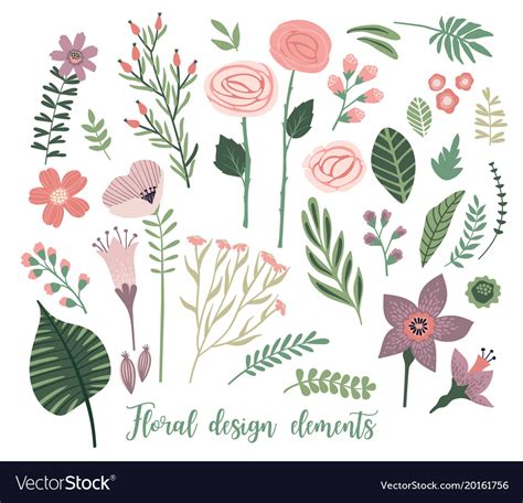 Floral Design Elements Leaves Flowers Royalty Free Vector
