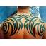Tribal Tattoo Designs And Meanings Ideas 