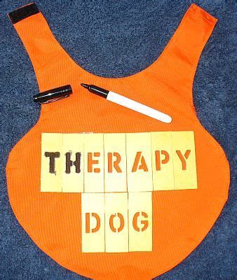 See more ideas about service dog vests, dog vests, service dogs. 19 best images about THUNDER COATS on Pinterest | Coats ...