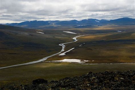 Дельта реки Лена в Якутии летом Российская Арктика Фото Айар