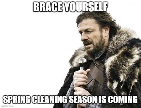 Funny Spring Cleaning Memes For Moms