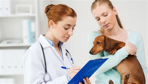 Phenylpropanolamine (ppa) is a drug we commonly trial; Metoclopramide For Dogs: Uses, Dosage, & Side Effects ...