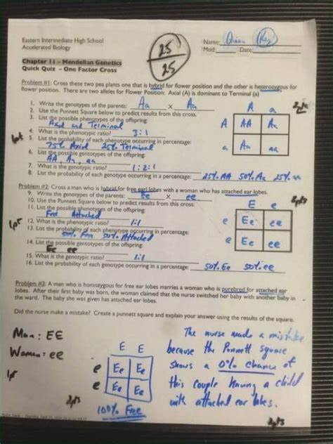 Mendelian Genetics Review Worksheet Answer Key › Athens Mutual Student