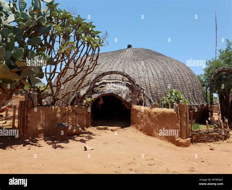 Zulu Hut At Shakaland Zulu Cultural Village Eshowe Kwazulu Natal