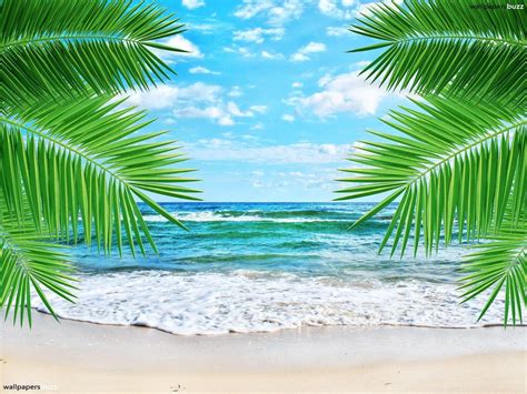 Tropical Beach Pictures Wallpapers Wallpaper Cave