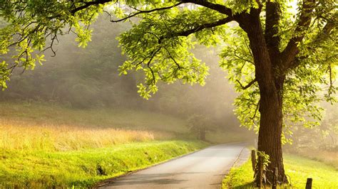 Beautiful green field landscape in summer. Arbor Day Foundation Member Story: Larry Hobart | 3BL Media