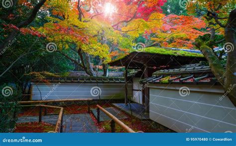 Autumn At Koto In Temple In Kyoto Japan Stock Photo Image Of Maple