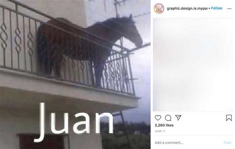Juan Original Juan Horse On Balcony Know Your Meme