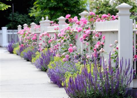 Taman Cottage Dengan Bunga Warna Warni Dan Pagar Putih Desain Id