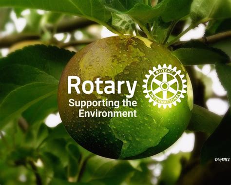 The Environment Rotary Faces Up To The Challenge Inyourarea News