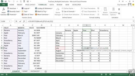 Excel 2013 Advanced Multiple Criteria Within Sumif Countif And