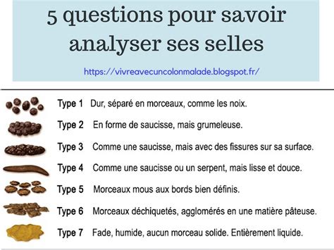 Les Questions Pour Analyser Ses Selles Sant Digestion