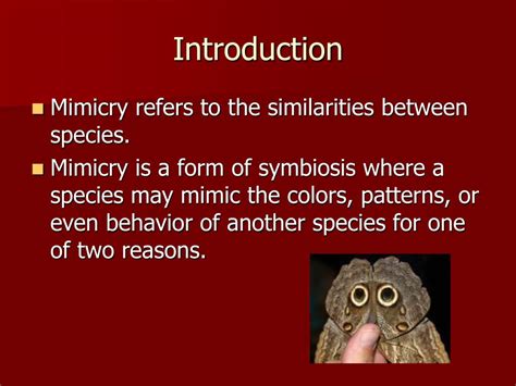 Ppt Introduction To Mimicry Powerpoint Presentation Free Download
