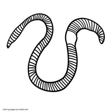 Coloring Page Of A Worm