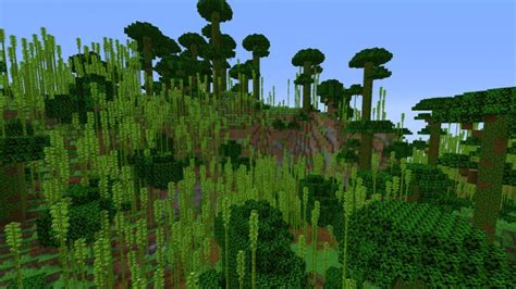 Top What Is The Rarest Biome In Minecraft